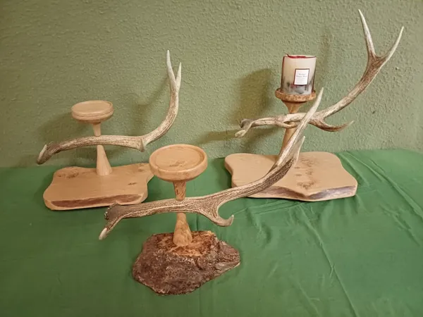 Natural stag antlers displayed during the design and making of handcrafted lighting — David Thorne, photograph 13