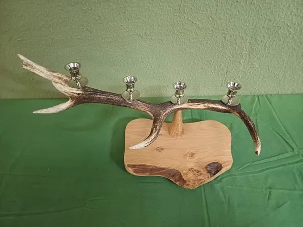 Natural stag antlers displayed during the design and making of handcrafted lighting — David Thorne, photograph 17