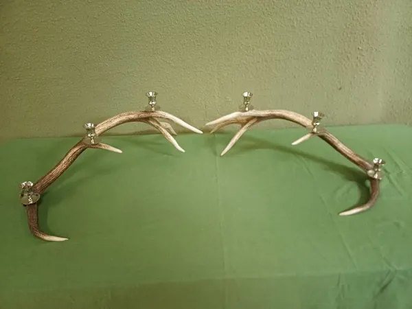 Natural stag antlers displayed during the design and making of handcrafted lighting — David Thorne, photograph 18