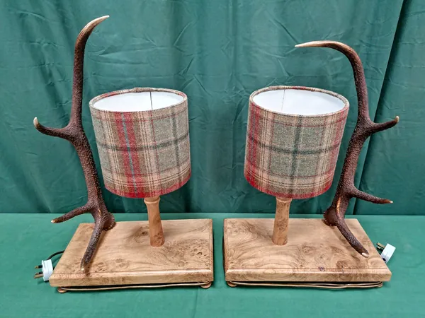 Handmade antler table lamp with country-style shade — David Thorne, photograph 23