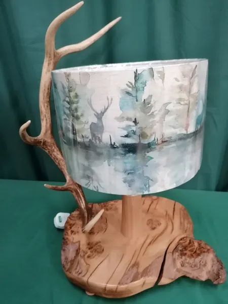 Handmade antler table lamp with country-style shade — David Thorne, photograph 28
