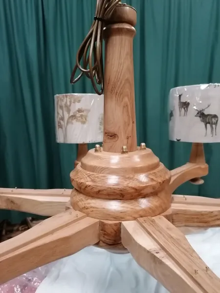 Handmade antler table lamp with country-style shade — David Thorne, photograph 29