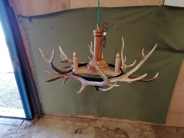 Handcrafted stag-antler chandelier and country lighting — David Thorne, photograph 42