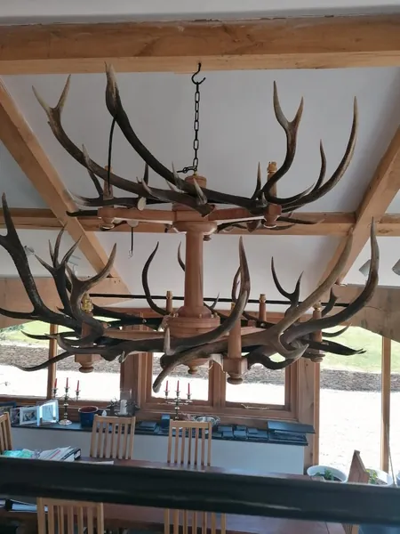 Handcrafted stag-antler chandelier and country lighting — David Thorne, photograph 45