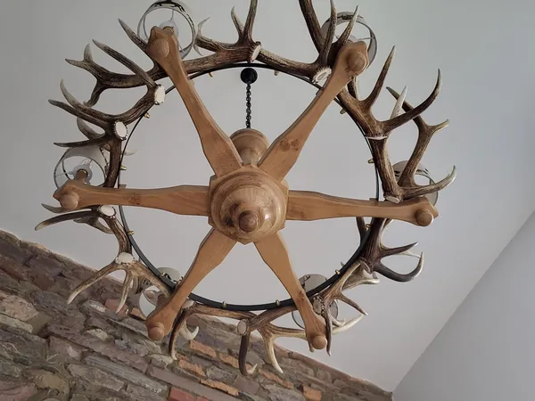 Handcrafted stag-antler chandelier and country lighting — David Thorne, photograph 50